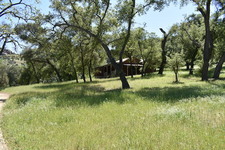 Cabin in the Woods
