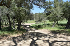 Enlarge photo 23