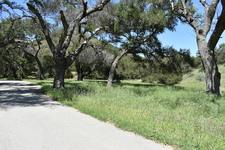 Enlarge photo 27