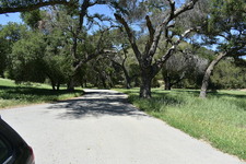 Enlarge photo 28