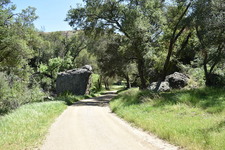 Enlarge photo 29