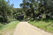 Enlarge photo 30