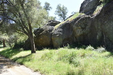 Enlarge photo 31