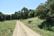 Enlarge photo 33