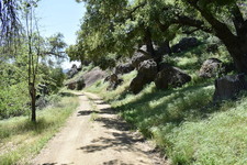 Enlarge photo 35