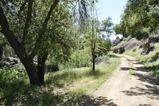 Enlarge photo 36