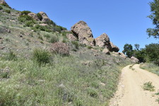Enlarge photo 37