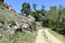 Enlarge photo 38