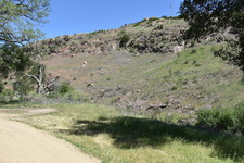 Enlarge photo 39