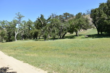 Enlarge photo 40