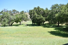 Enlarge photo 41