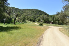 Enlarge photo 42