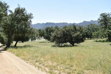 Enlarge photo 43