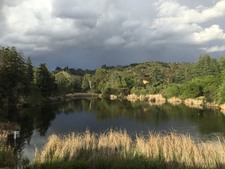 Franklin Canyon Park