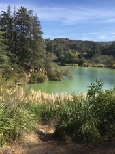Enlarge photo 4
