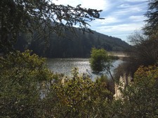 Enlarge photo 7