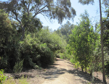 Enlarge photo 2