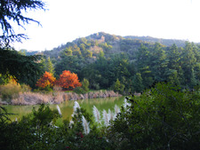 Enlarge photo 6