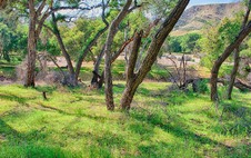 Enlarge photo 13