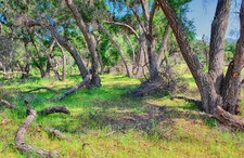 Enlarge photo 14