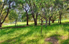 Enlarge photo 16