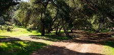 Enlarge photo 40