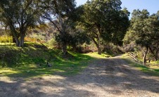 Enlarge photo 41