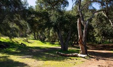 Enlarge photo 43