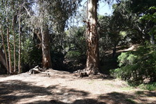 Enlarge photo 2