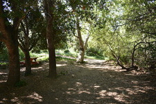 Enlarge photo 10
