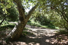 Enlarge photo 11