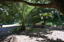 Enlarge photo 13