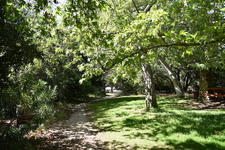 Enlarge photo 17