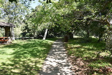Enlarge photo 18