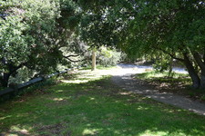 Enlarge photo 21