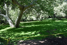 Enlarge photo 27