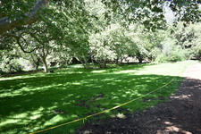 Enlarge photo 28