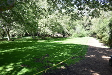 Enlarge photo 29