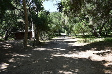 Enlarge photo 30