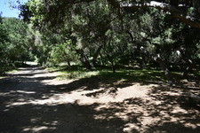 Enlarge photo 31