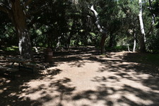 Enlarge photo 32