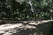 Enlarge photo 33