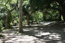 Enlarge photo 34