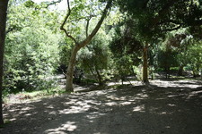 Enlarge photo 35
