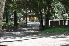 Enlarge photo 36