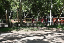 Enlarge photo 37