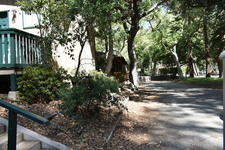 Enlarge photo 44