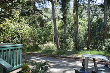 Enlarge photo 46