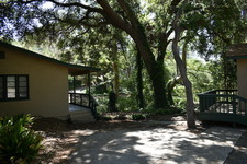 Enlarge photo 59