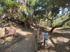 Enlarge photo 71